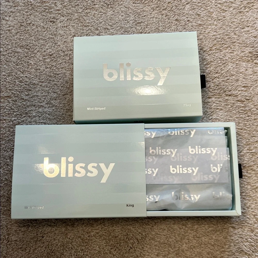 Blissy Mint Green 2 Striped King Size Pillowcases - Picture 3 of 7